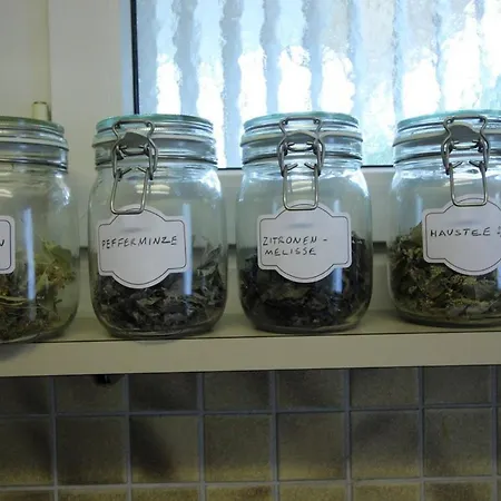 Casa Schilling- 2,5 With Balcony Near Hospital, St. Gallen