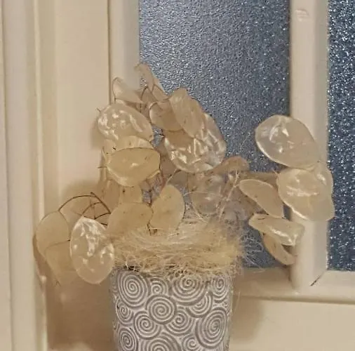 Casa Schilling- 2,5 With Balcony Near Hospital, *