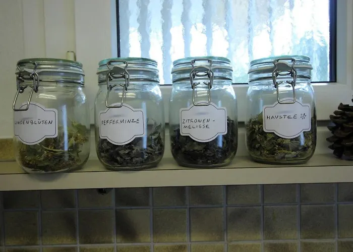 Casa Schilling- 2,5 With Balcony Near Hospital, St. Gallen